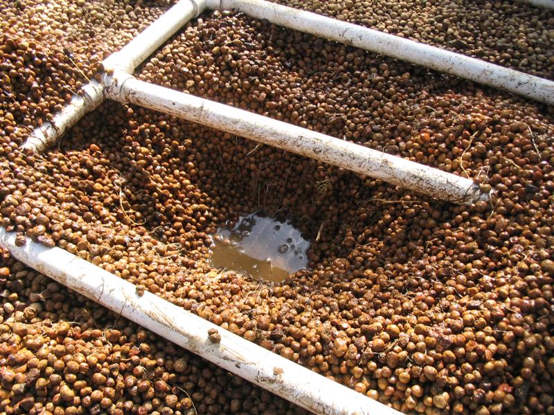 IMG_1912 (Medium).jpg