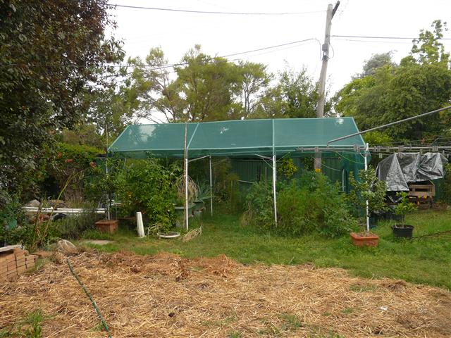 P1100136 (Custom).JPG