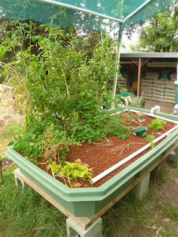 P1100140 (Custom).JPG