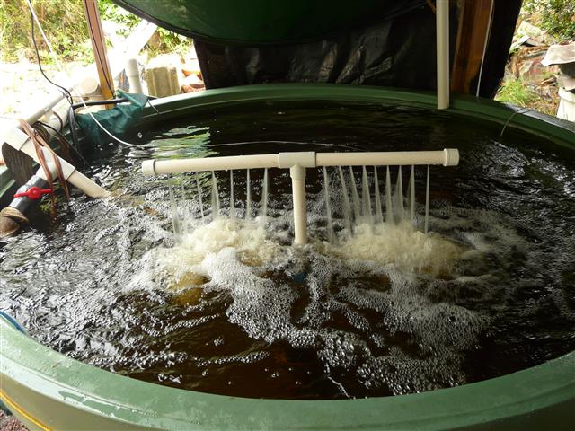 P1100174 (Custom).JPG