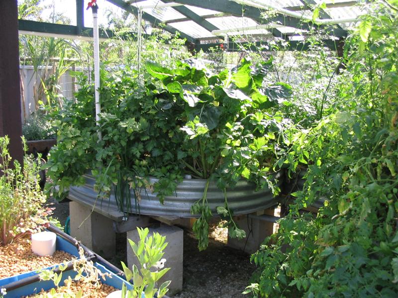 IMG_1907 (Medium).jpg