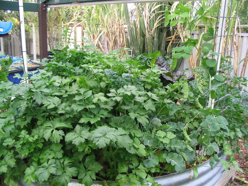 IMG_1880 (Medium).jpg