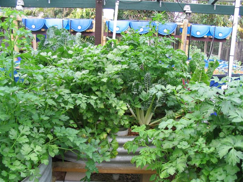 IMG_1879 (Medium).jpg