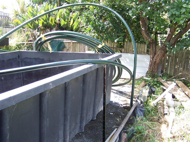 100_5928 (Custom).JPG