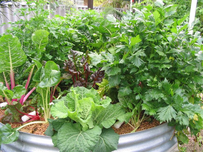 IMG_1885 (Medium).jpg