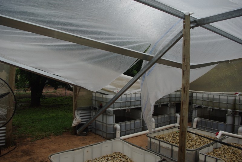 _IGP2076 (800x536).jpg