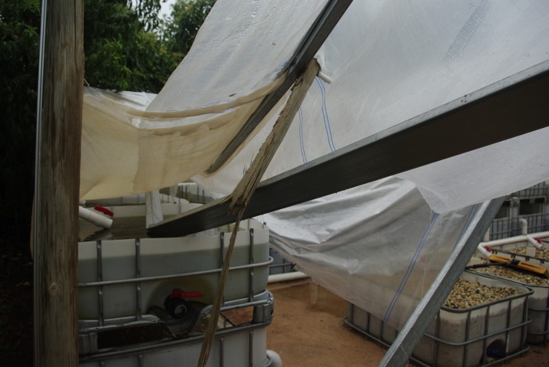 _IGP2075 (800x536).jpg