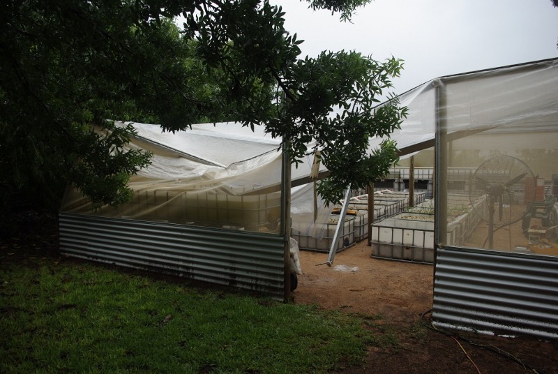 _IGP2074 (800x536).jpg