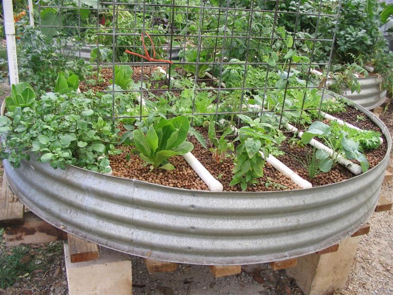 IMG_2062 (Medium).jpg