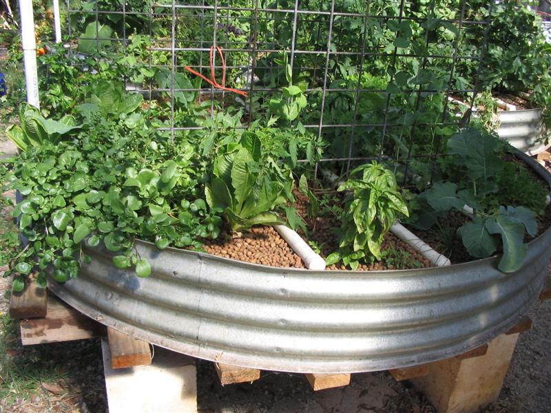 IMG_2074 (Medium).jpg