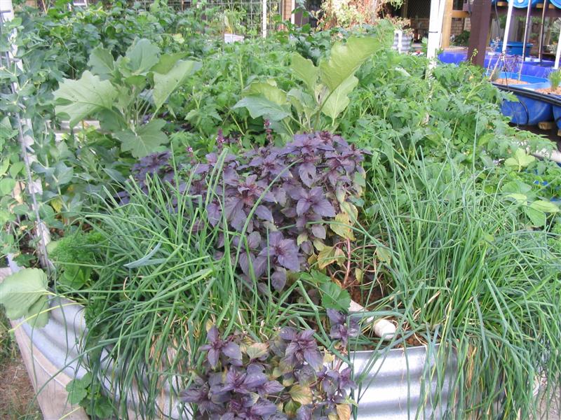 IMG_2085 (Medium).jpg