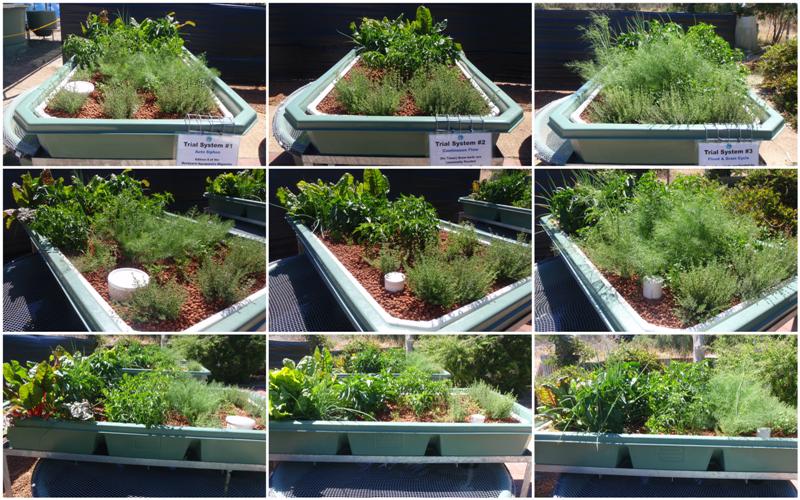 New Folder (2)1 (Medium).jpg