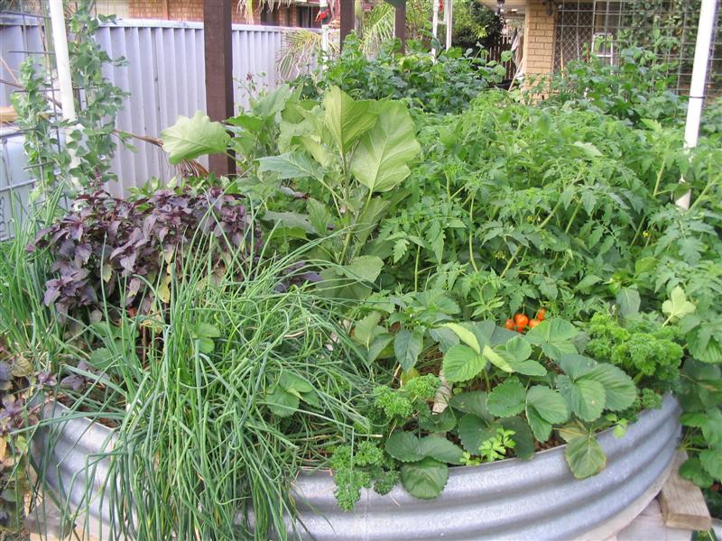 IMG_2083 (Medium).jpg