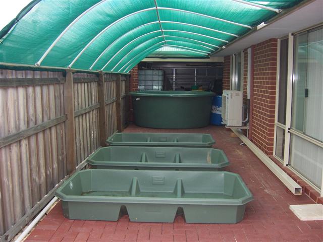 100_1895 (Small).jpg