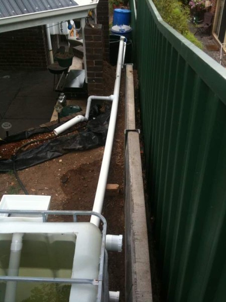 IMG_1270 (450 x 600).jpg