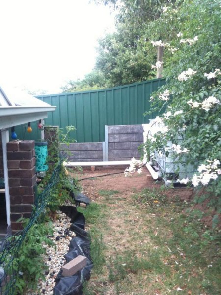 IMG_1266 (450 x 600).jpg