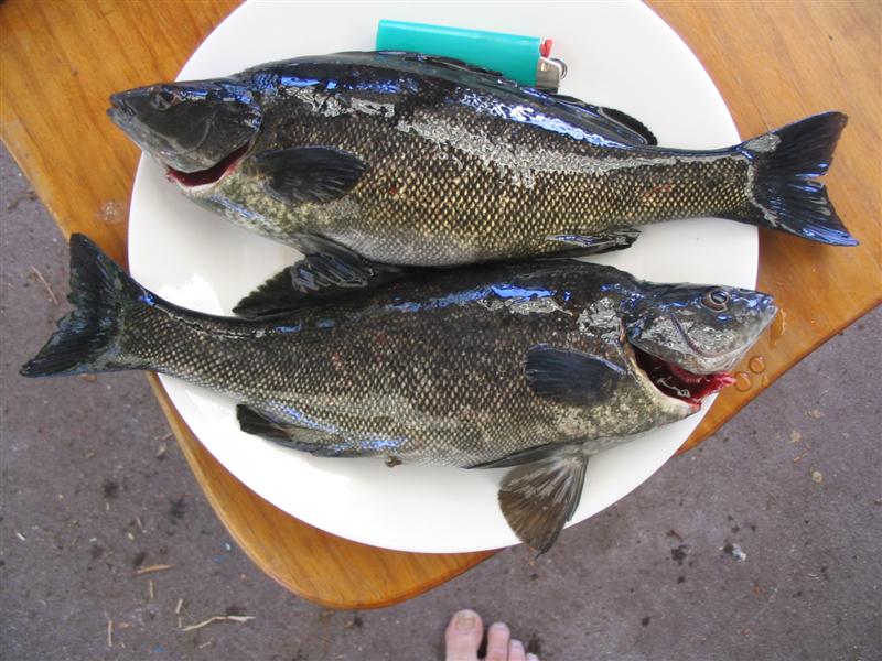 IMG_2099 (Medium).jpg