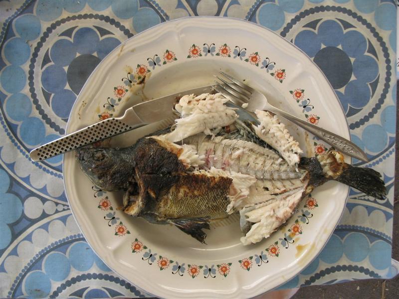 IMG_2108 (Medium).jpg