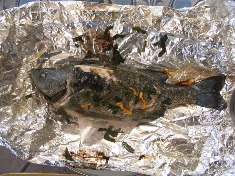 IMG_2109 (Medium).jpg