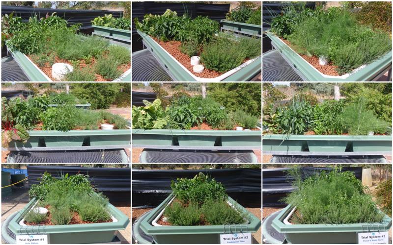 New Folder1 (Medium).jpg