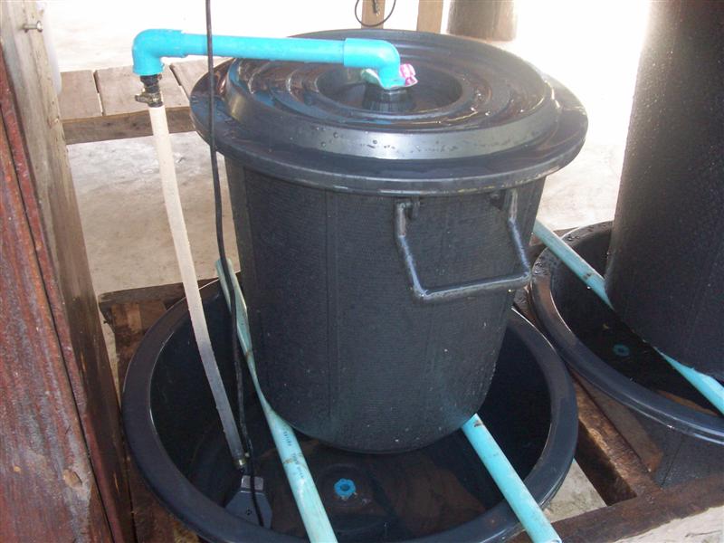 beans 5 (Medium).jpg