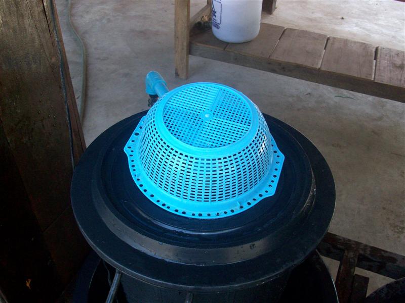 beans 9 (Medium).jpg