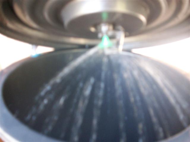 beans 10 (Small).jpg