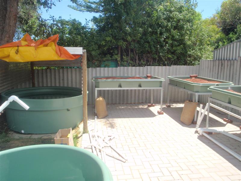 P2080029 (Medium).JPG