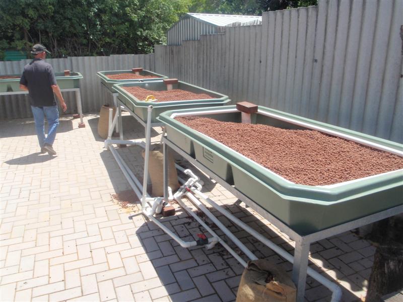 P2080030 (Medium).JPG