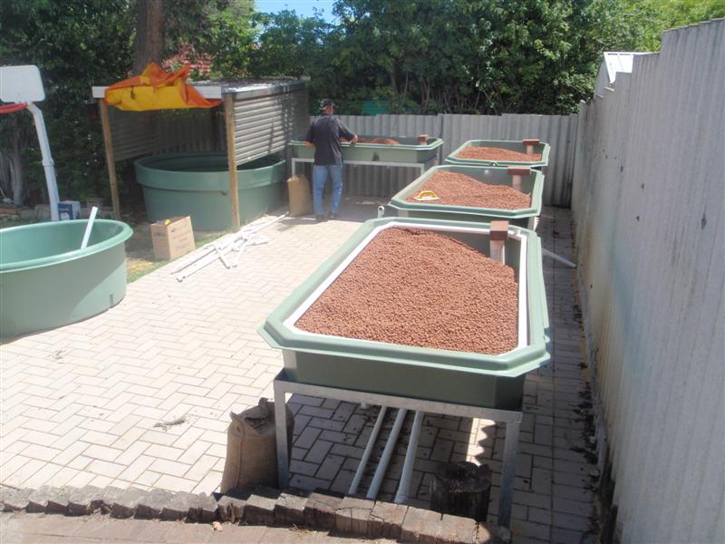 P2080031 (Medium).JPG