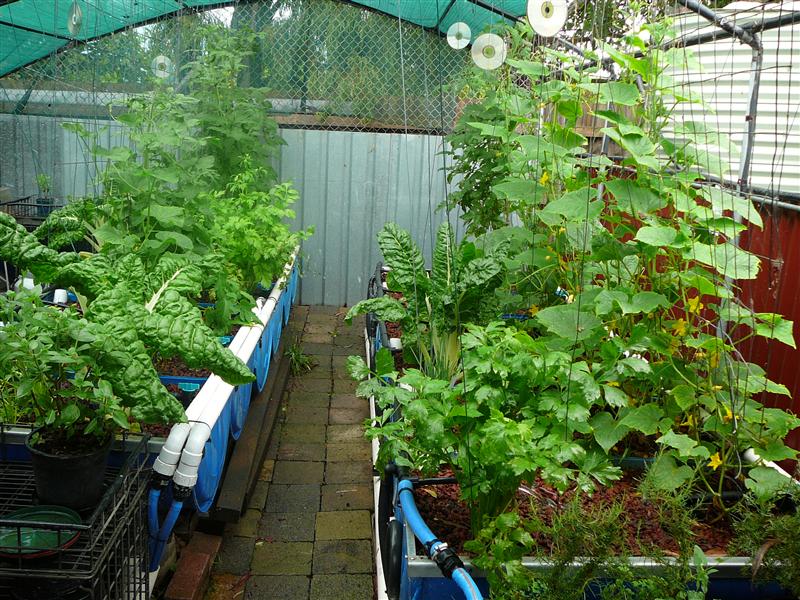 P1040612 (Custom).JPG