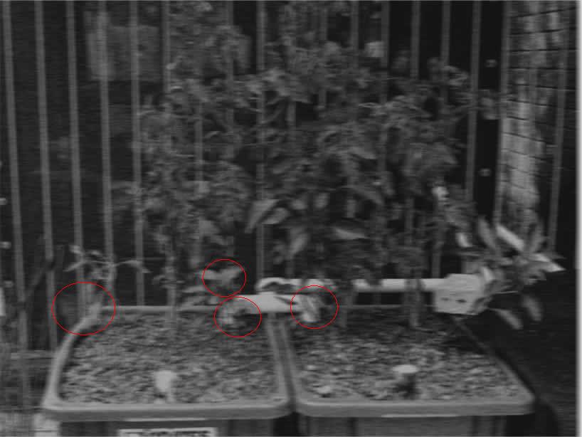 Copy of IMG_0021.jpg