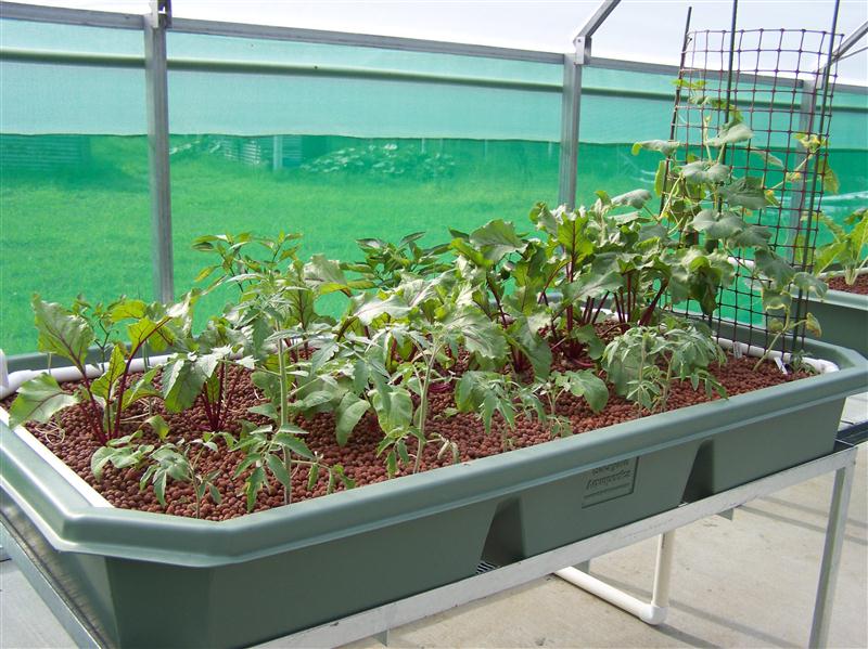 100_5954 (Custom).JPG