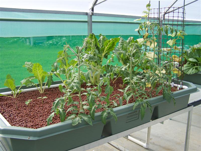 100_5955 (Custom).JPG