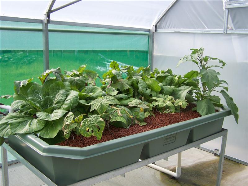 100_5956 (Custom).JPG