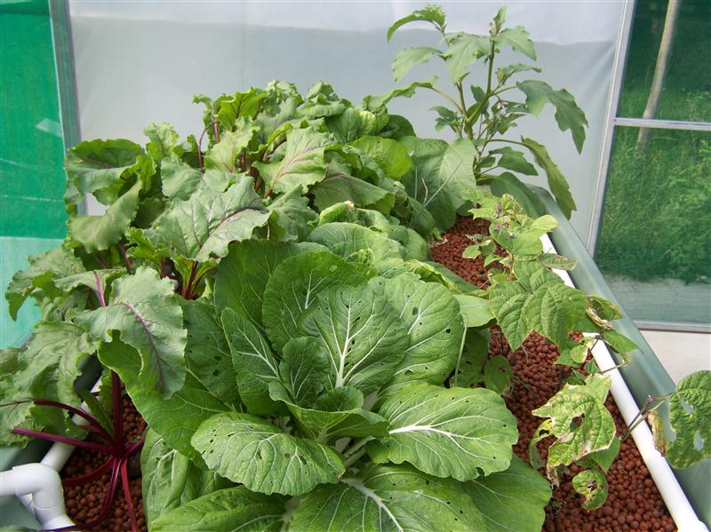 100_5958 (Custom).JPG