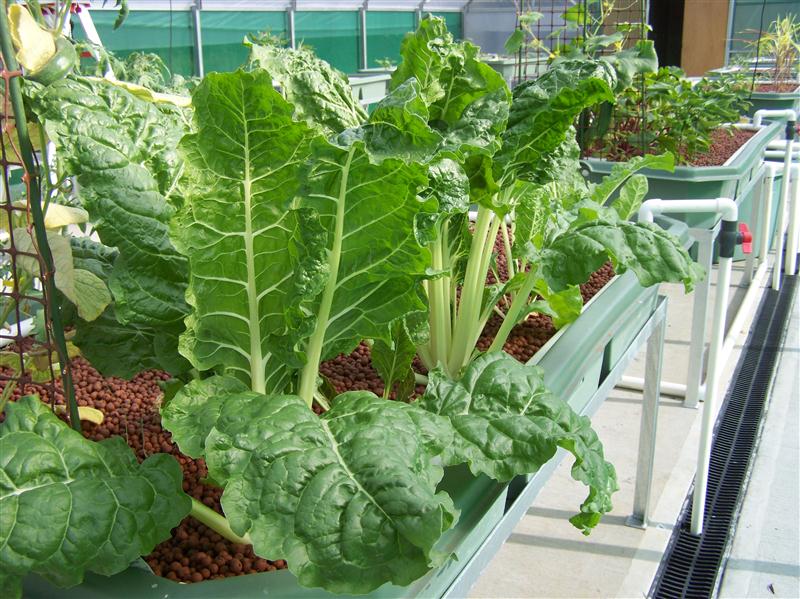 100_5961 (Custom).JPG