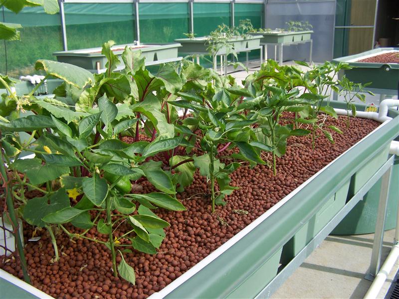 100_5963 (Custom).JPG