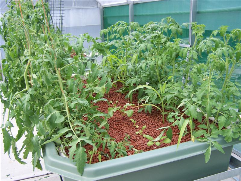 100_5971 (Custom).JPG