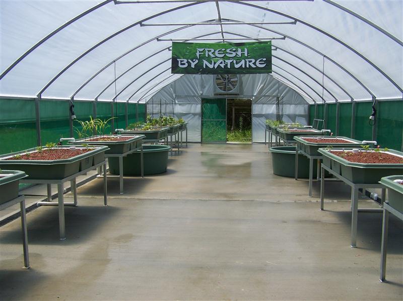 100_5875 (Custom).JPG