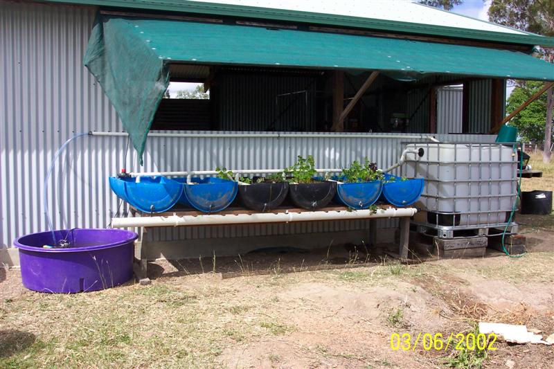 apsystem (Medium).jpg