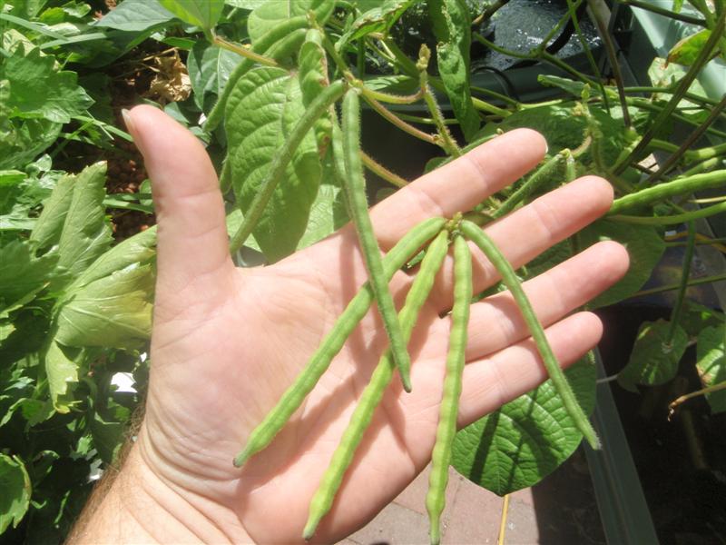 P2180022 (Medium).JPG