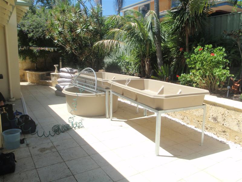 P2150001 (Medium).JPG