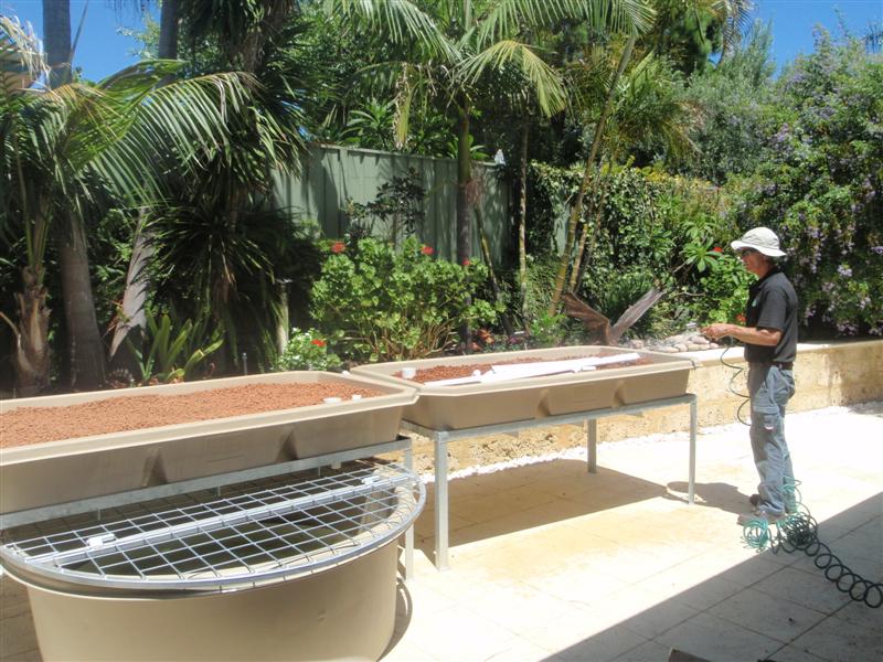 P2150003 (Medium).JPG