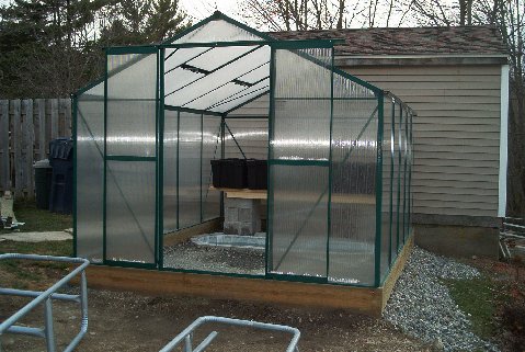 greenhouse6.jpg