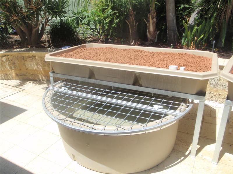 P2150004 (Medium).JPG