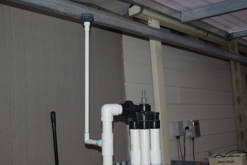 _IGP2176 (800x536).jpg