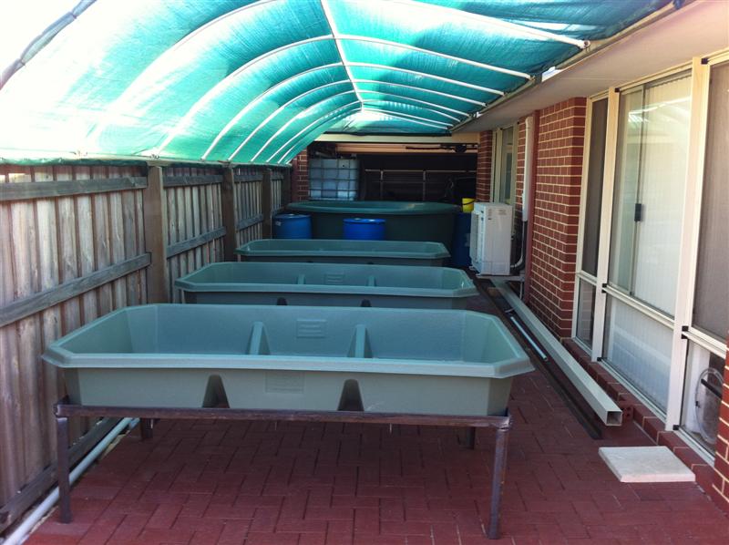 Progress (Medium).JPG