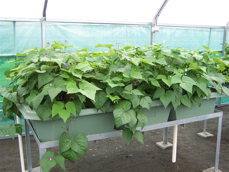 100_5655 (Custom).JPG