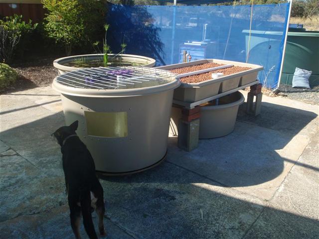 PC120633 (Medium) (Small).JPG